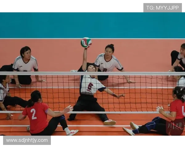 广州排球队配合细节解析与战术对比全面分析